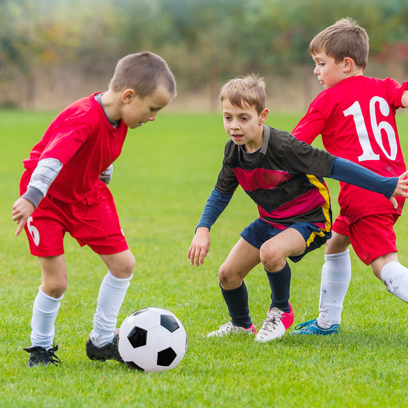 Juego de Portería de Fútbol Mi - Training Net Mini reseña y precio